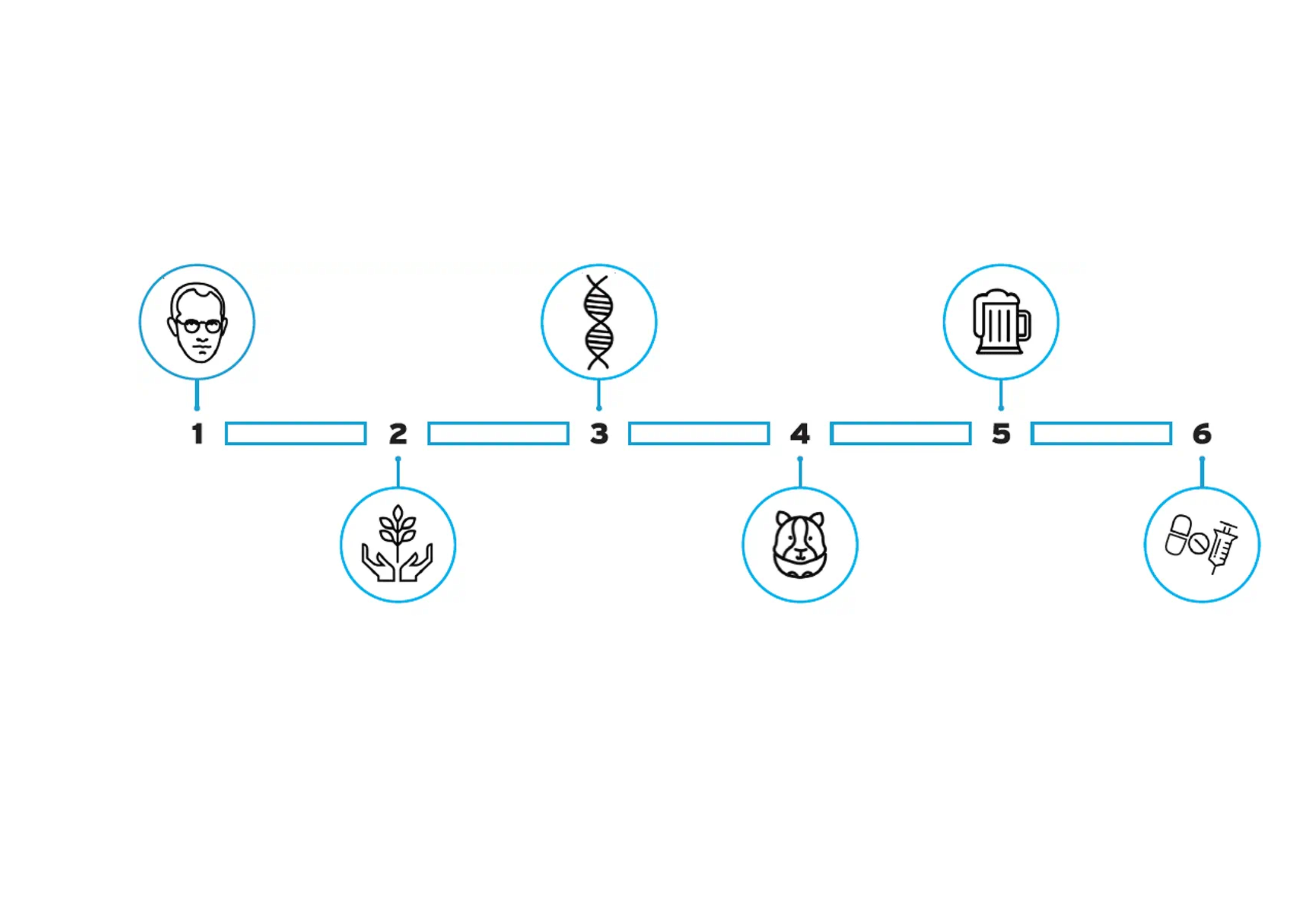 6_Dinge_die_Sie_vielleicht_nicht_ ber_Biotech_Medikamente_ wissen