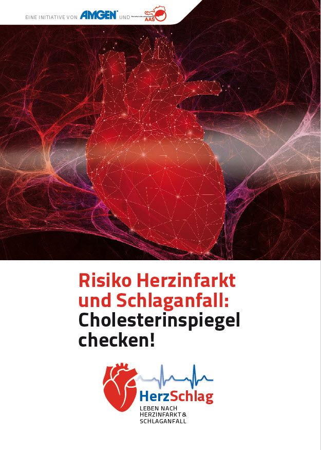 HerzSchlag–Broschüre Risiko Herzinfarkt und Schlaganfall Cholesterinspiegel checken